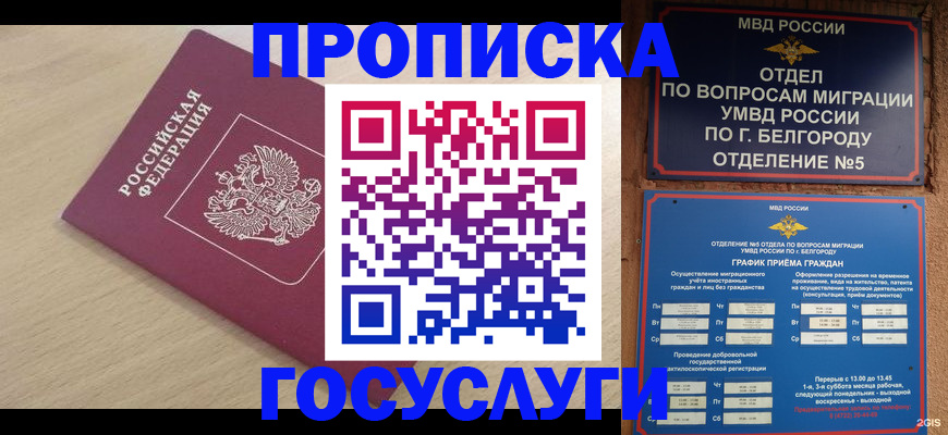 прописка законно в Зернограде